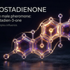 Androstadienone Effects on Women: What 20+ Years of Research Actually Shows